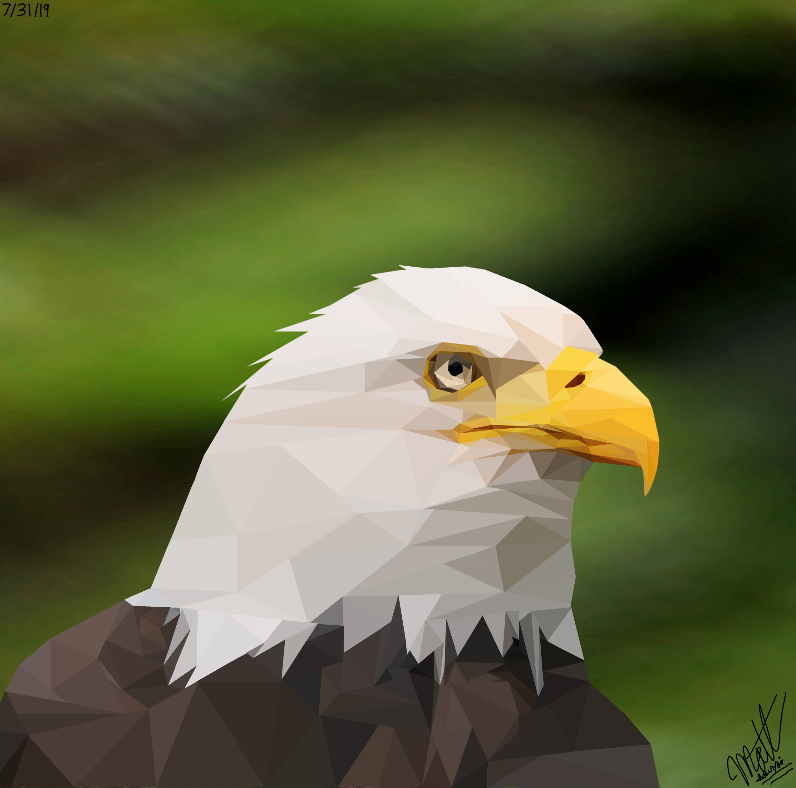 120-eagle-traingles.jpg