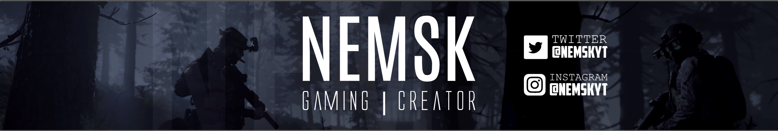 120-nemsk-banner-v22.png