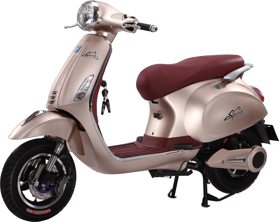 7602-xe-dien-vespas-dibao-chinh-hang.jpg