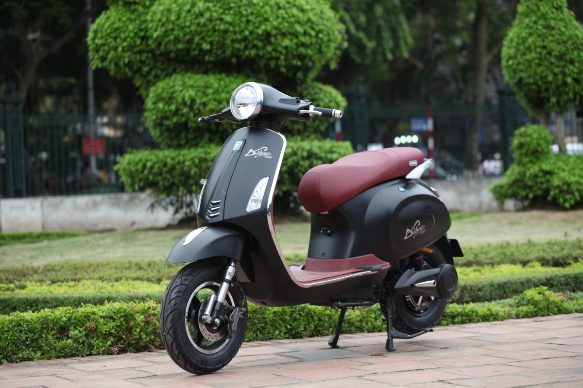 7629-xe-dien-vespas-dibao-cho-nu.jpg