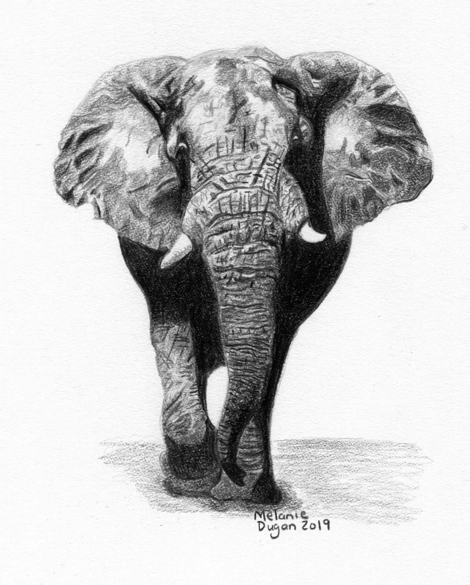 471-elephant-miniature-16966906819046.jpg
