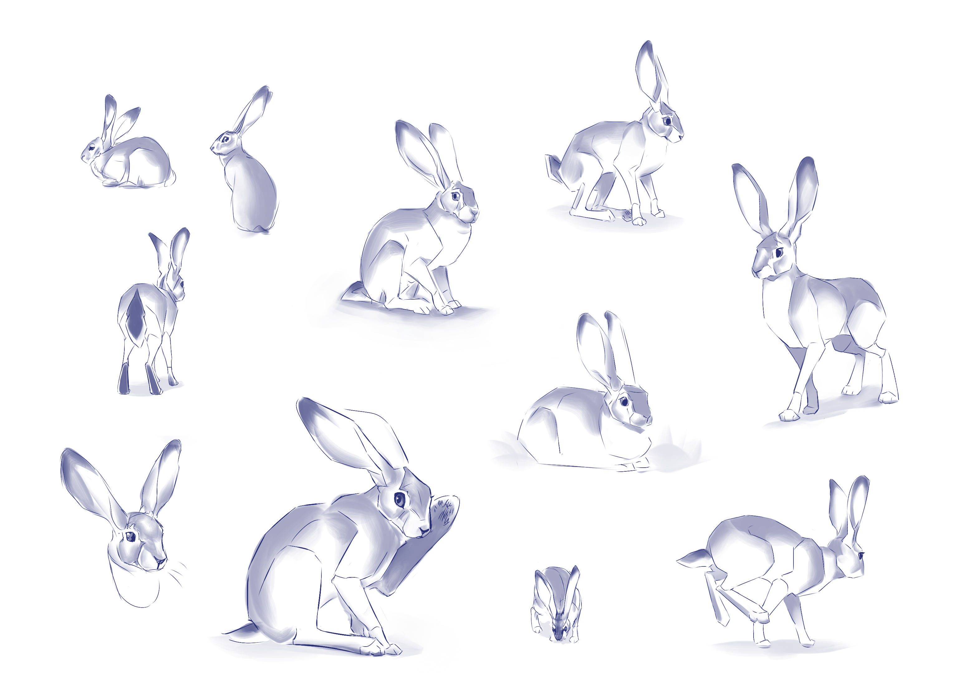 244-hares-better.png
