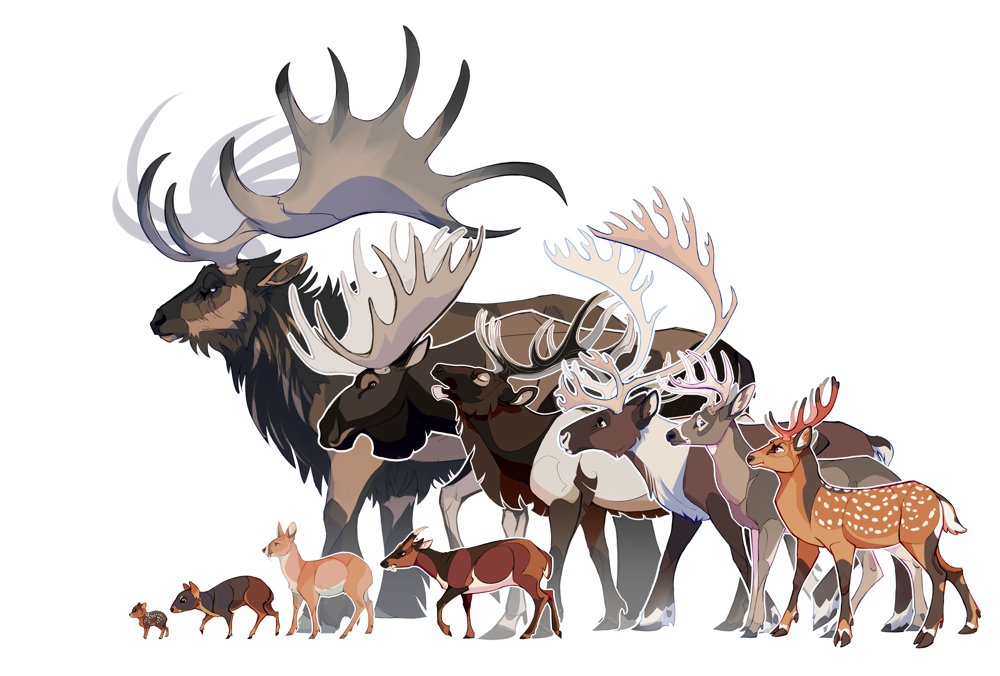 426-all-deer-full-res-composed-web.png
