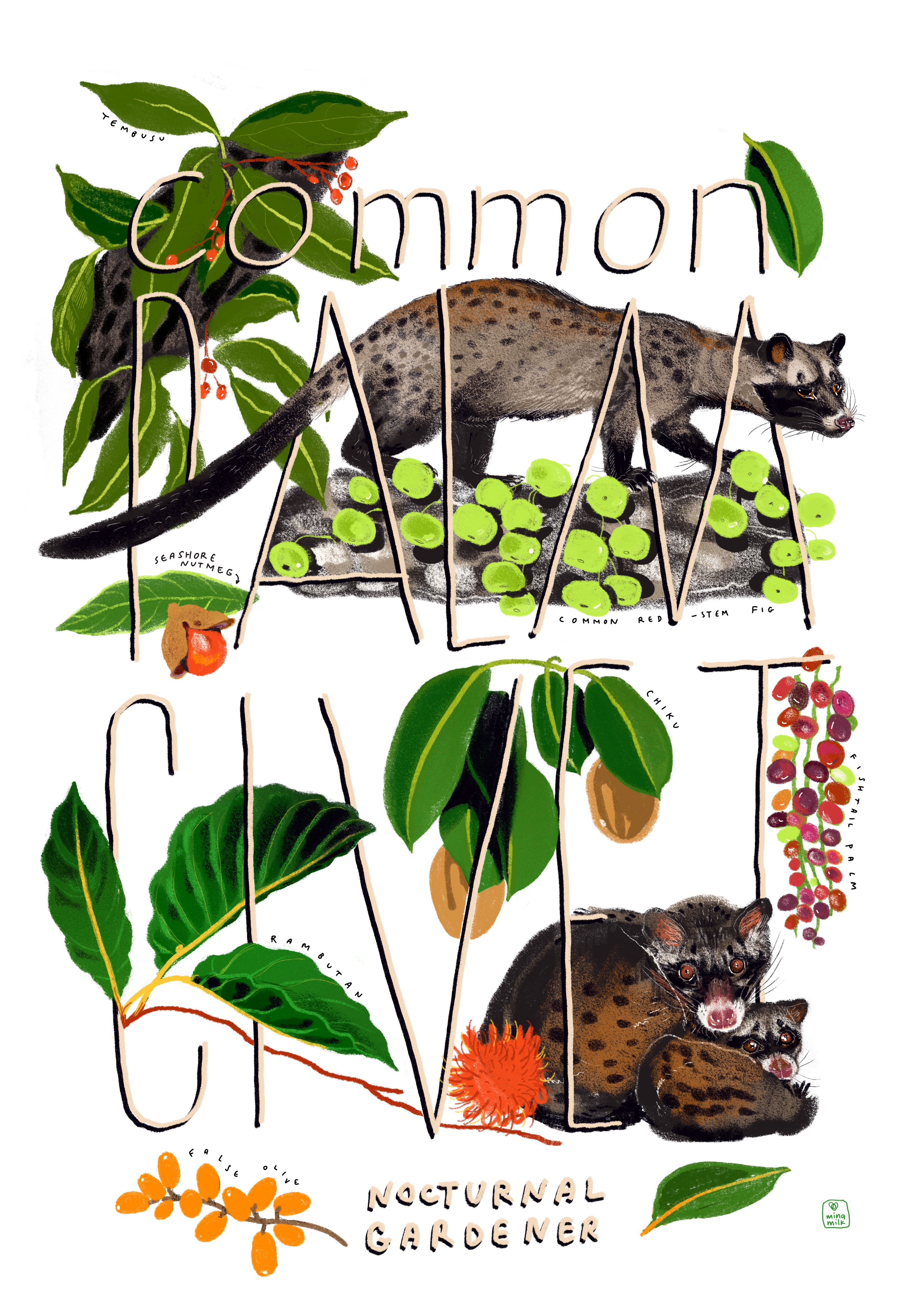 18-civets-17816224685852.jpg