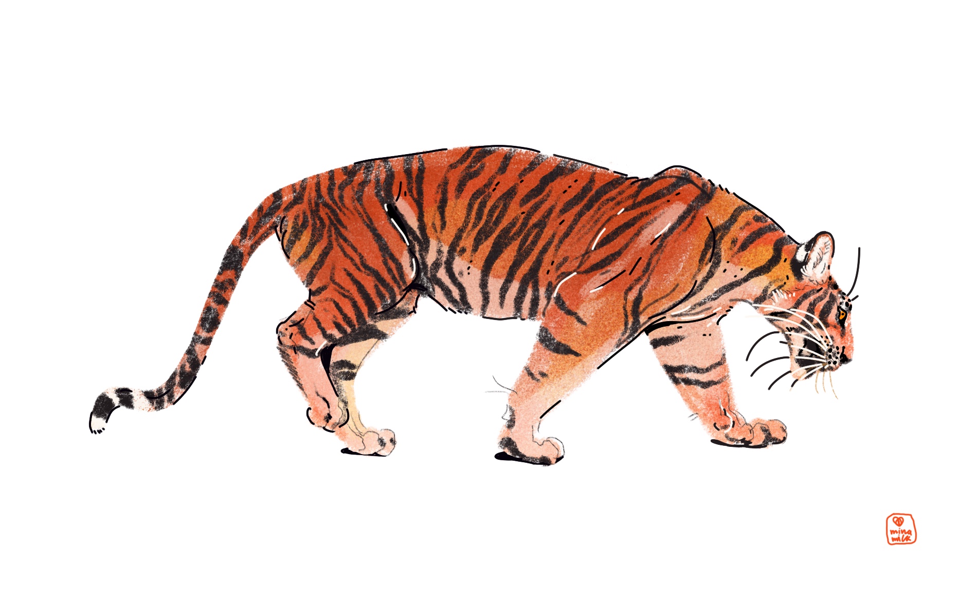 18-tigor-17782719069742.jpg