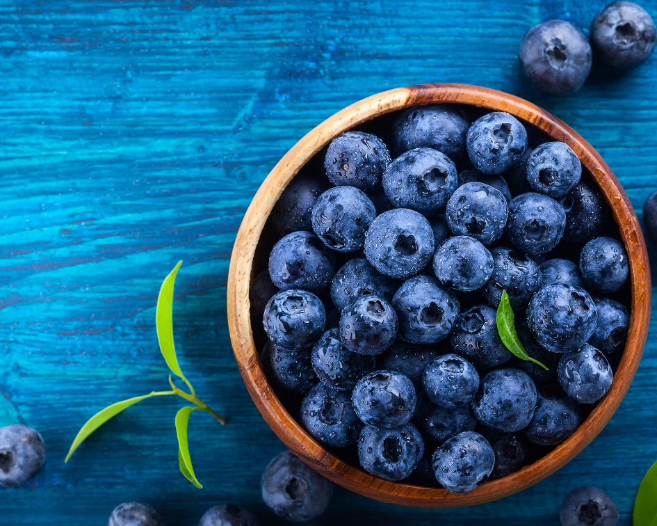 Blueberry Squares Recipe