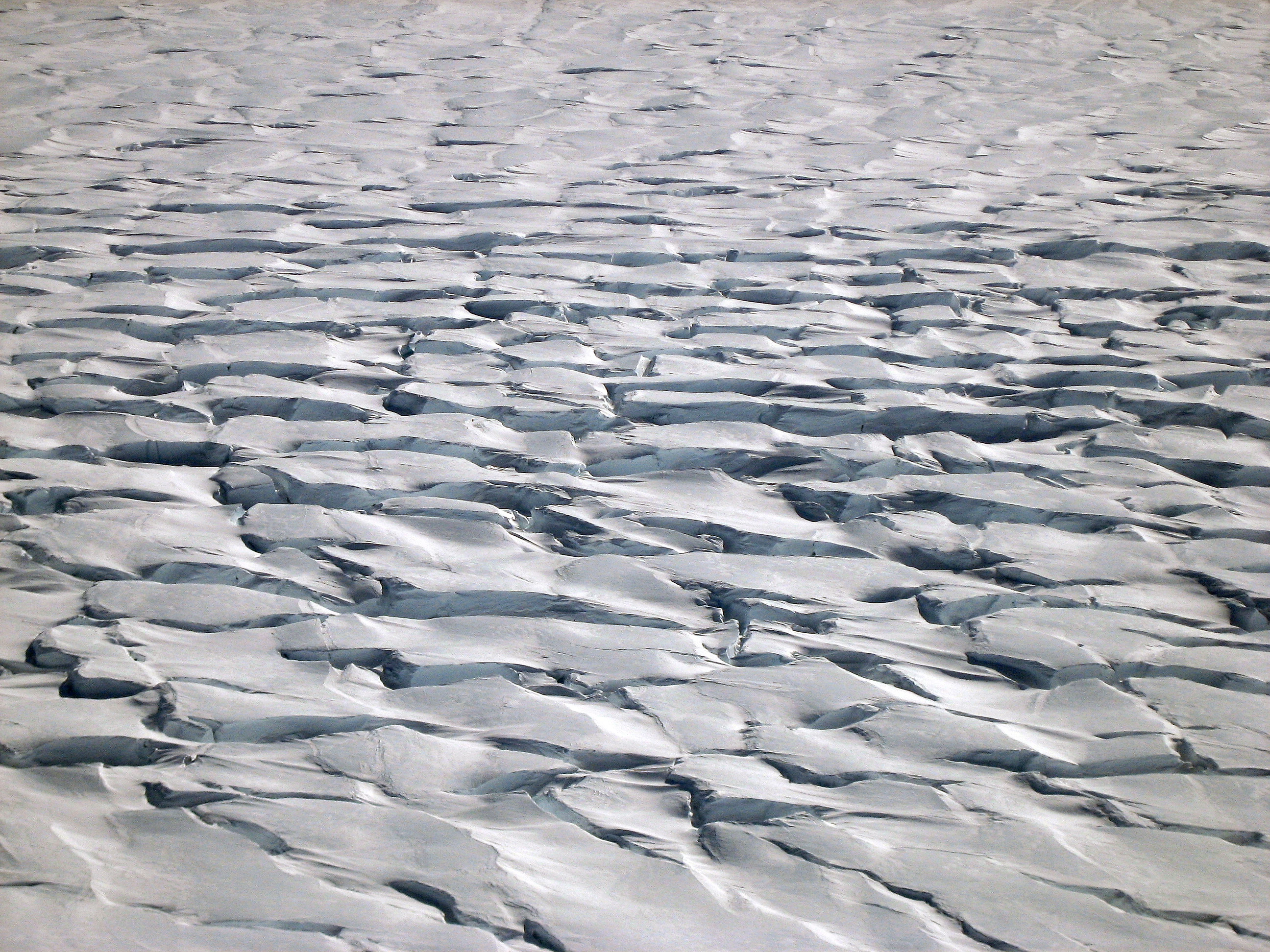 Antarctic environmental change and ice sheet evolution