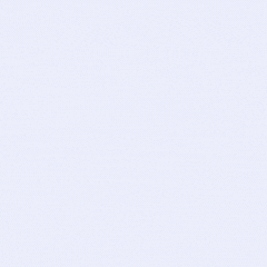2191-animated-monserrat-logo-25-x-25-in-7-17534309463433.gif