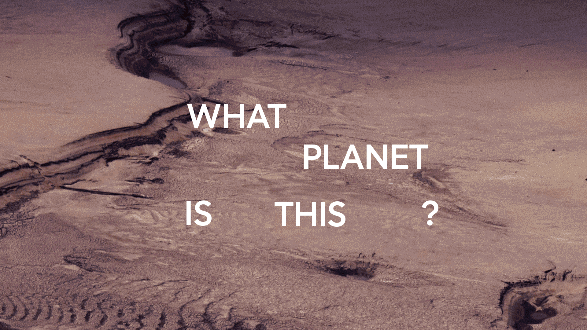 1226-gifinlges-17466195722889.gif