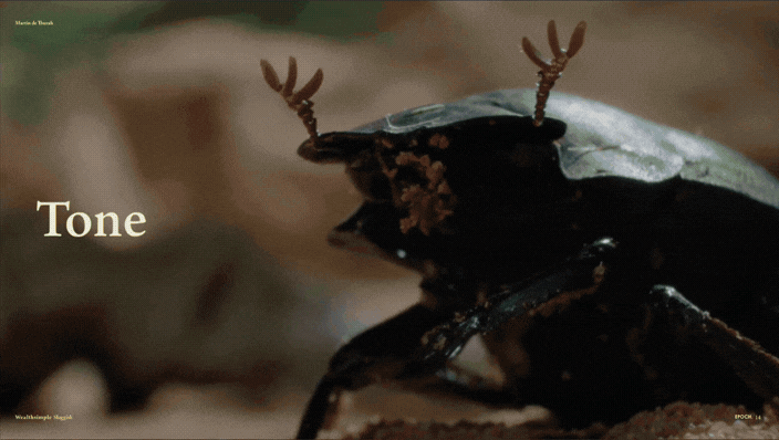 835-untitled-design19-17783184697995.gif