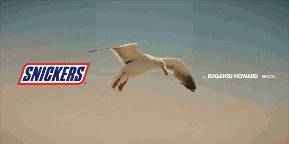841-untitled-design18-17783515573088.gif