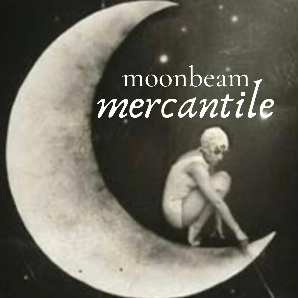 17-moonbeam.png