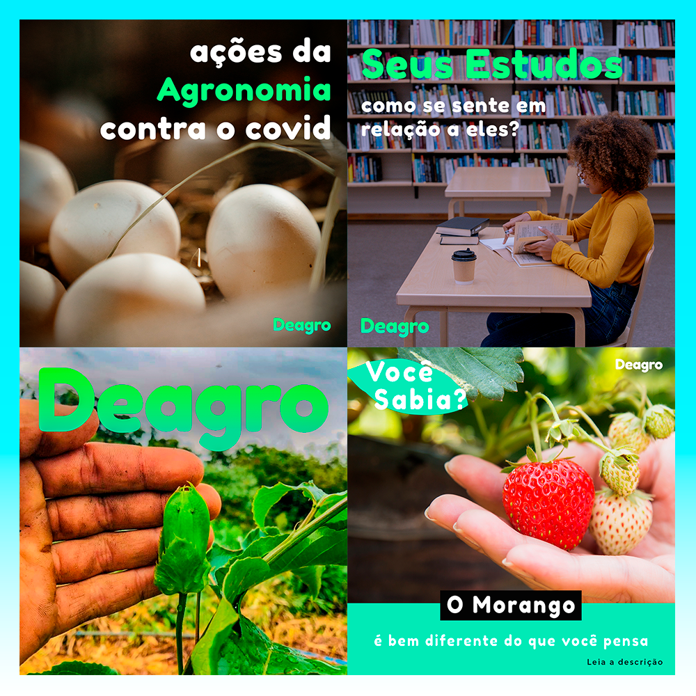 11-deagro-postagens-2.png