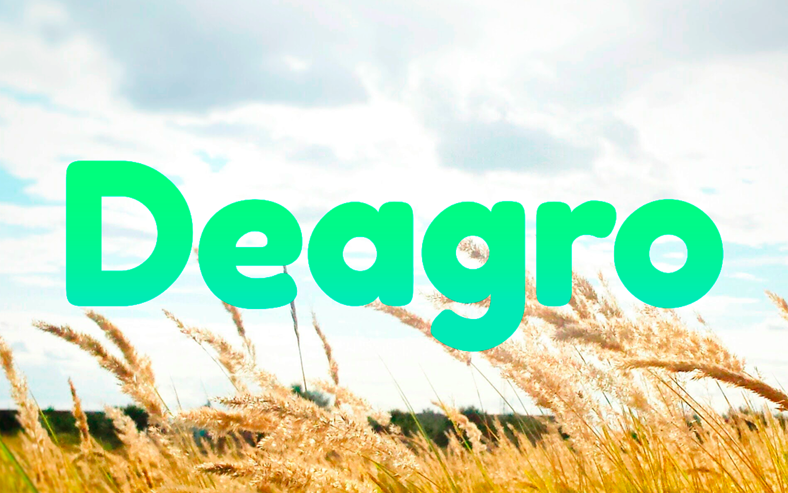 13-identidade-visual---deagro.png