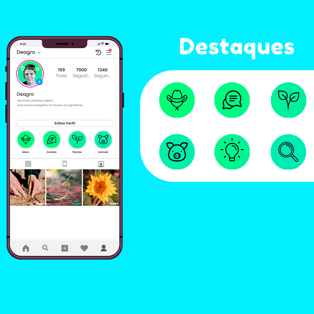 97-deagro-destaques.png
