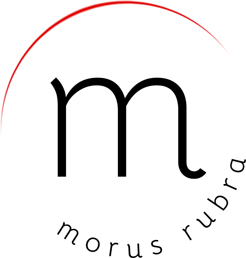 Morus Rubra