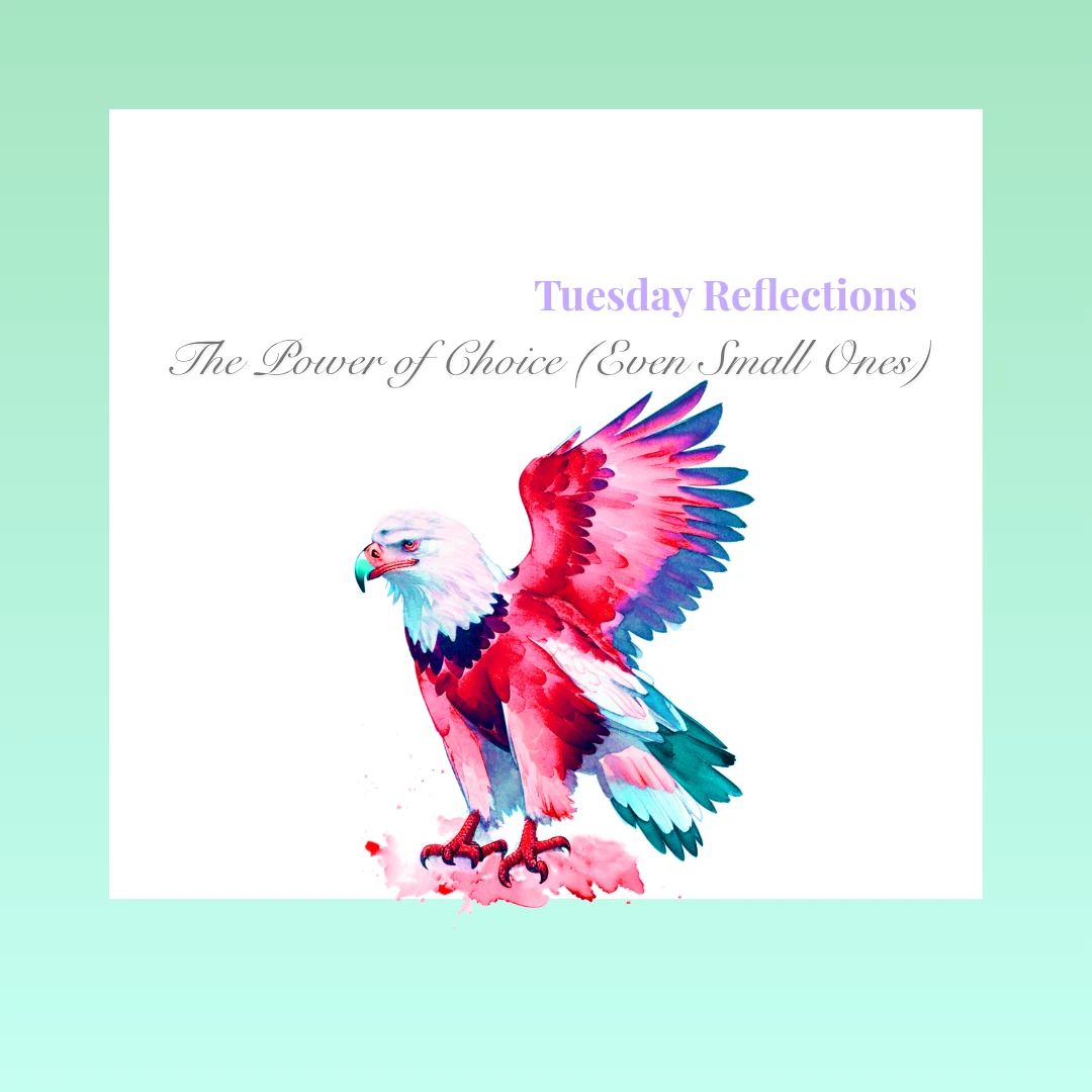 The Power of Choice (Even Small Ones)