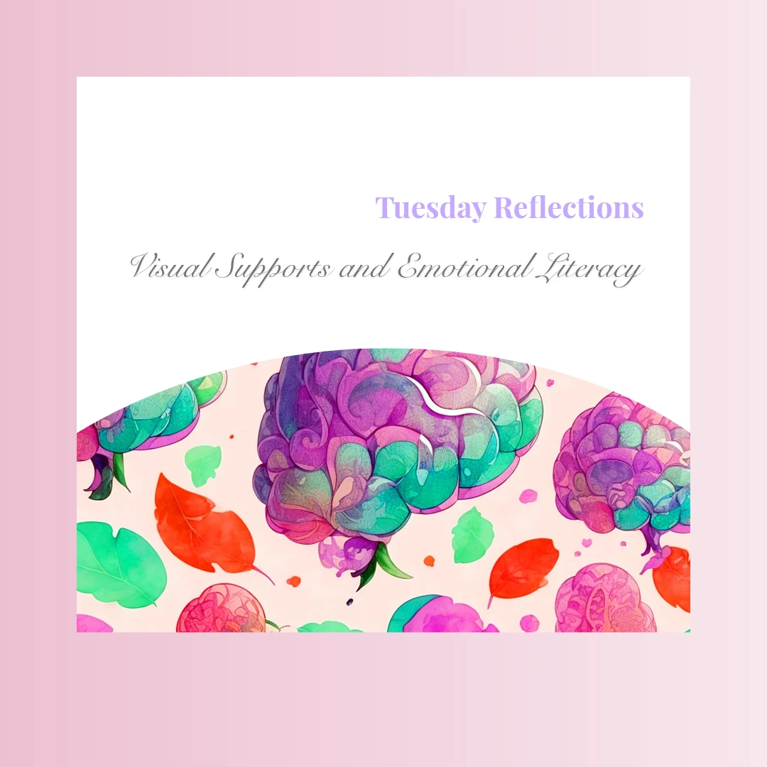 Visual Supports and Emotional Literacy