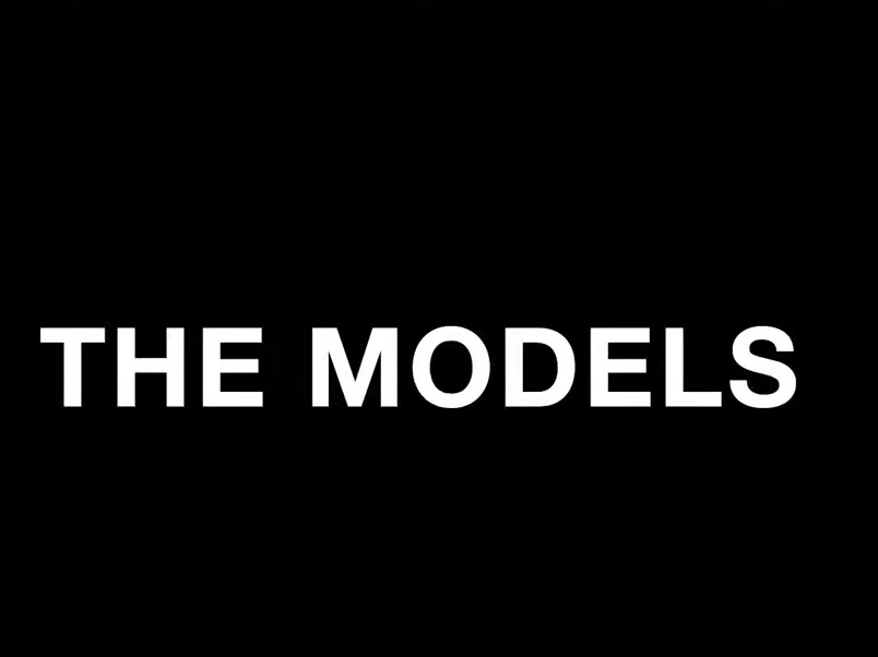 105-models-explain-16378533998886.jpg