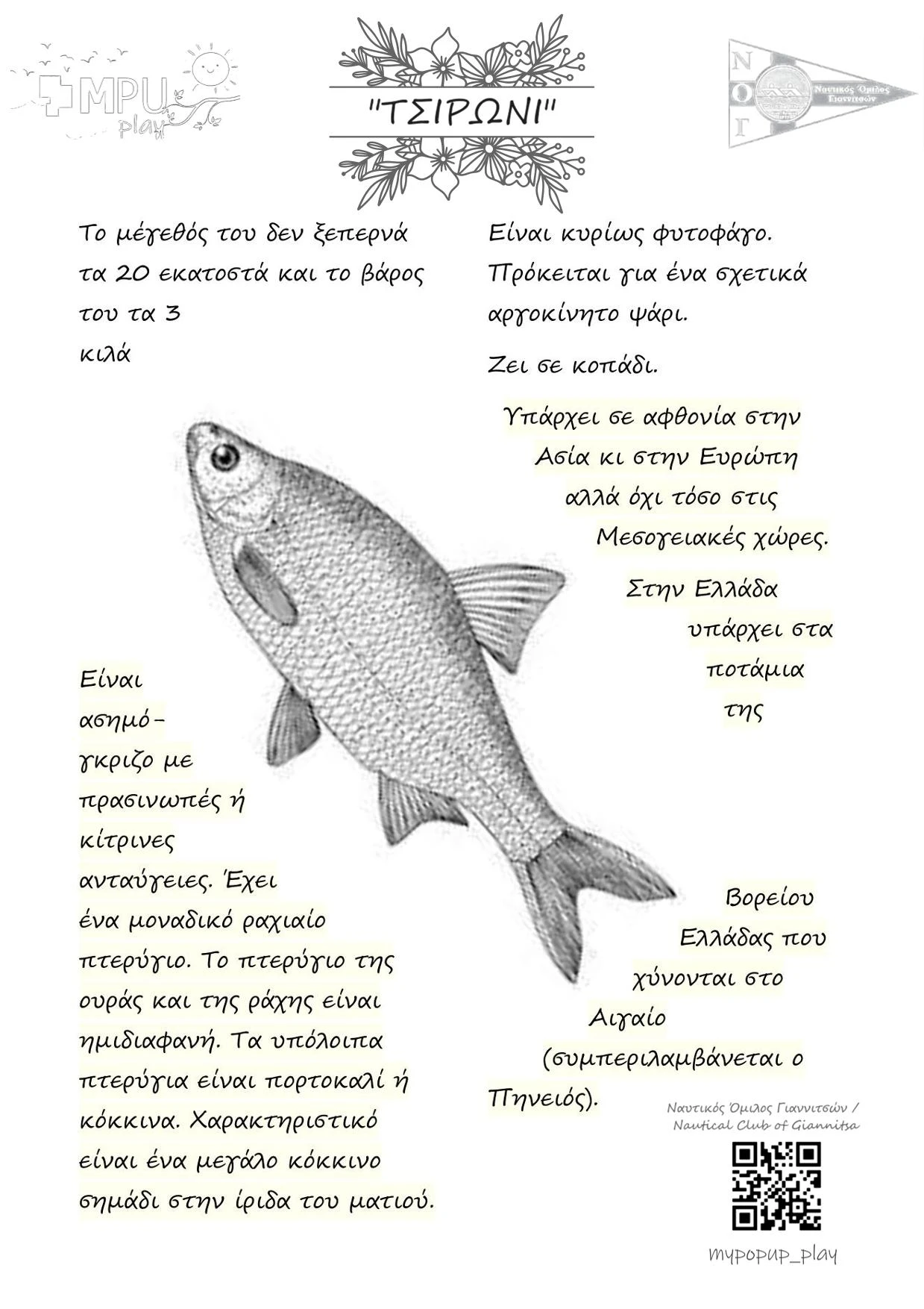 541-3-ζωα-2-16866013138325.jpg