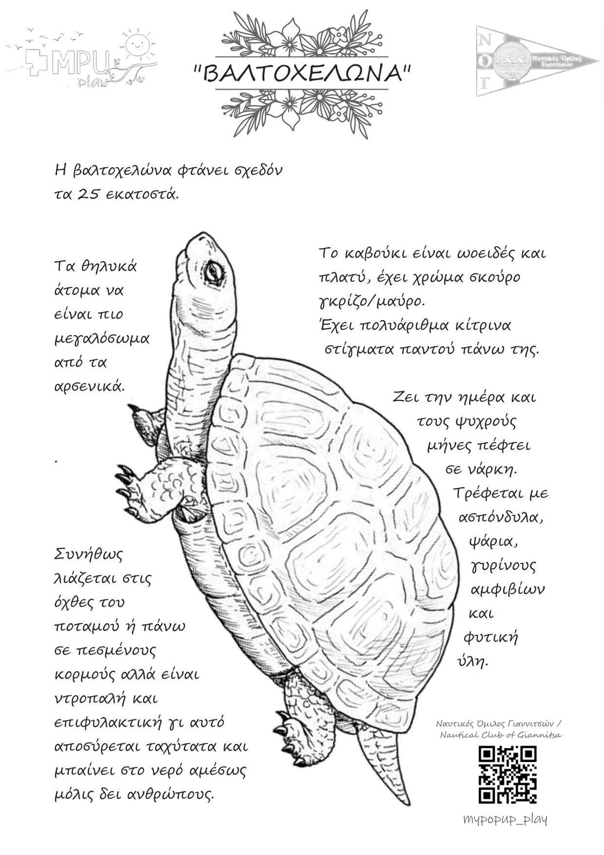 541-3-ζωα-3-16866013136734.jpg