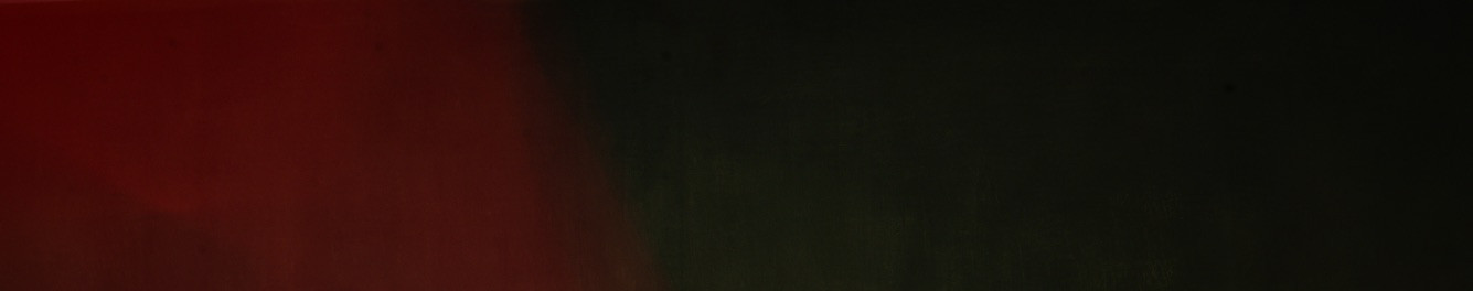 r509-header-most-pages.jpg