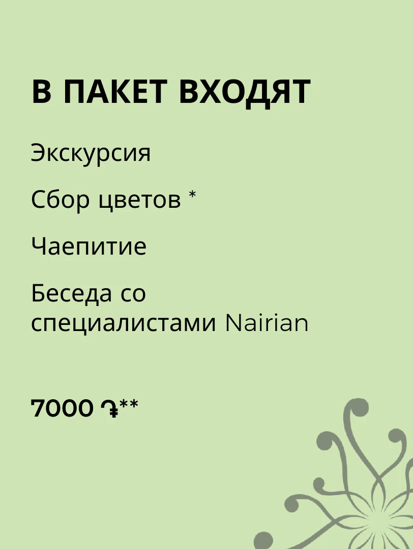 2589-package-2-nairian-2-17187148955115.png