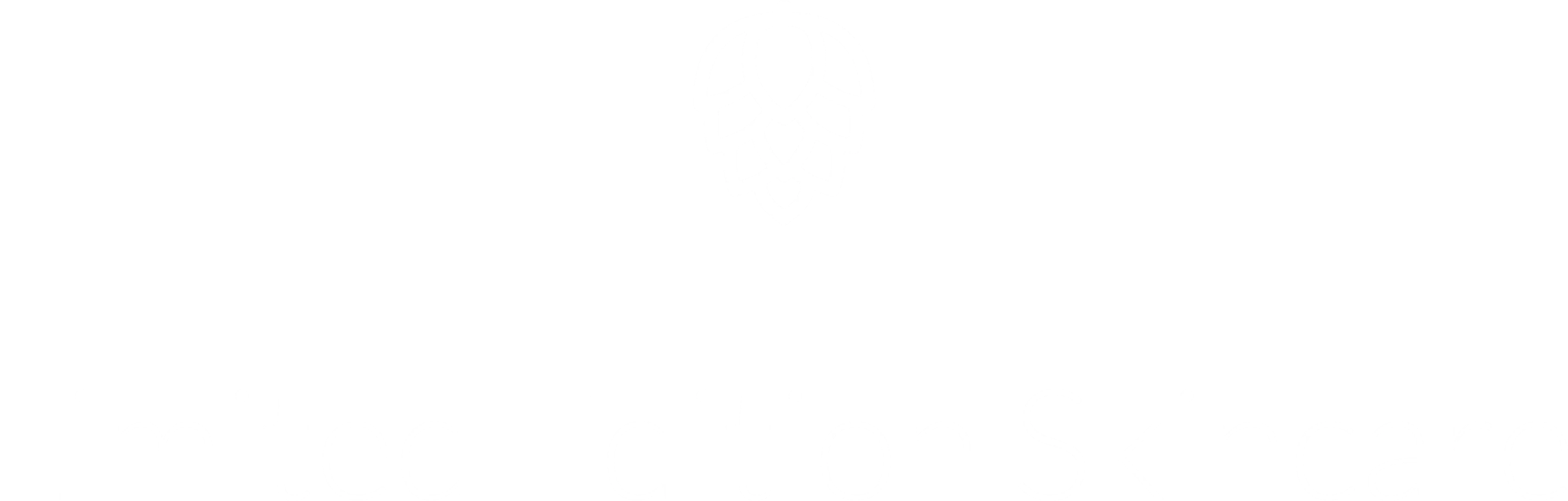 3705-le-17518718371443.png