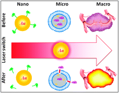 511-fig2biological-1.gif