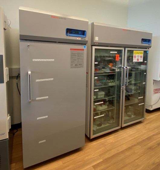 -20 freezer (left), 4ºC refrigerator (right)
