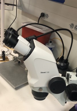 ZEISS Stemi 508 Microscope