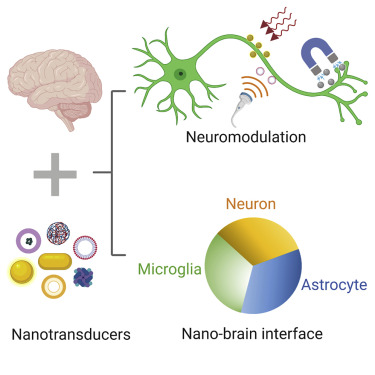 810-xlneuromodulation.jpg