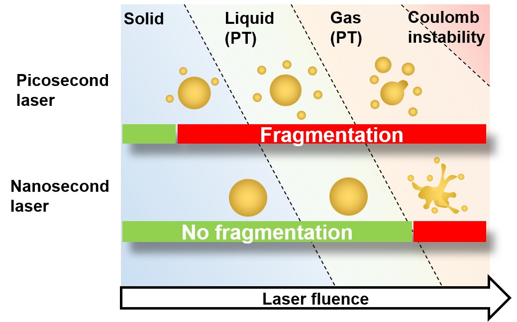 870-np-fragmentation.jpg