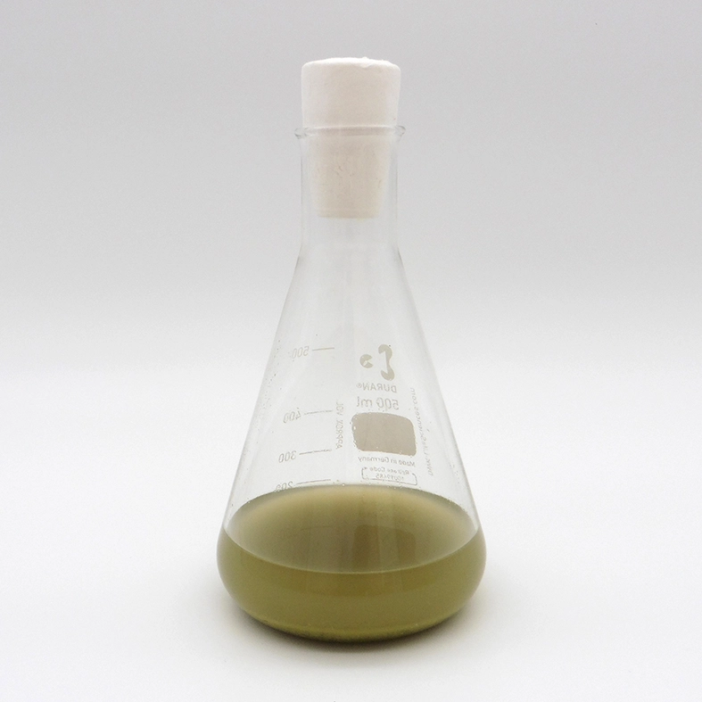 1293-erlenmeyer-algae-17224283745897.jpg