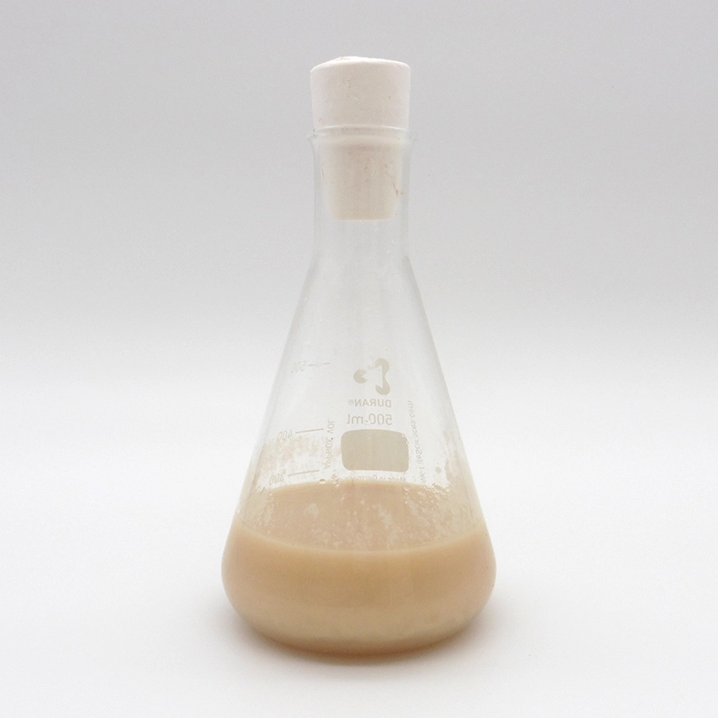 1293-erlenmeyer-fungi-17224283826232.jpg