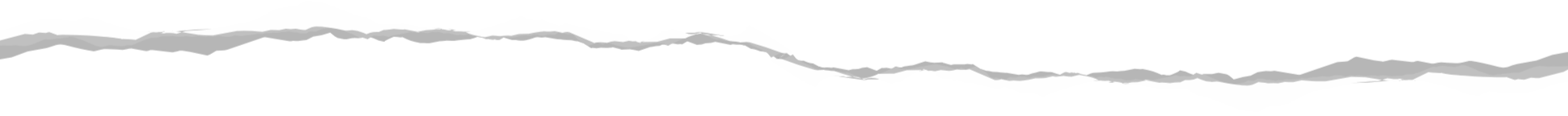 338-251-212-212-r208-divider-01-17389633535786.png