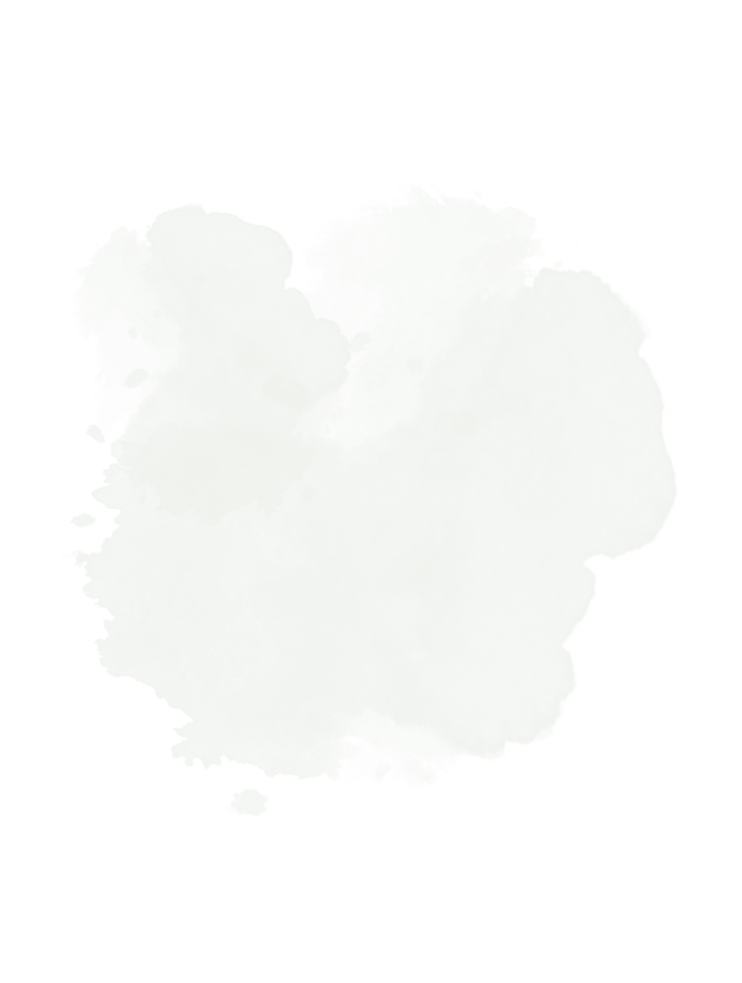 554-411-402-301-289-265-r255-gallery-04-1739093963819.png