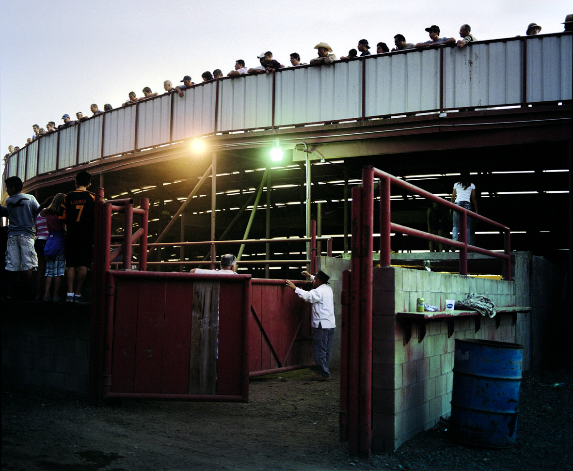 3170-cbkgiiv9.jpg