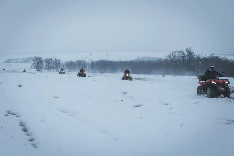 232-snow-7-174655091464.jpg