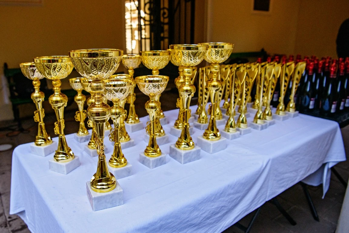 288-bajasatumare-128-1746605198028.jpg