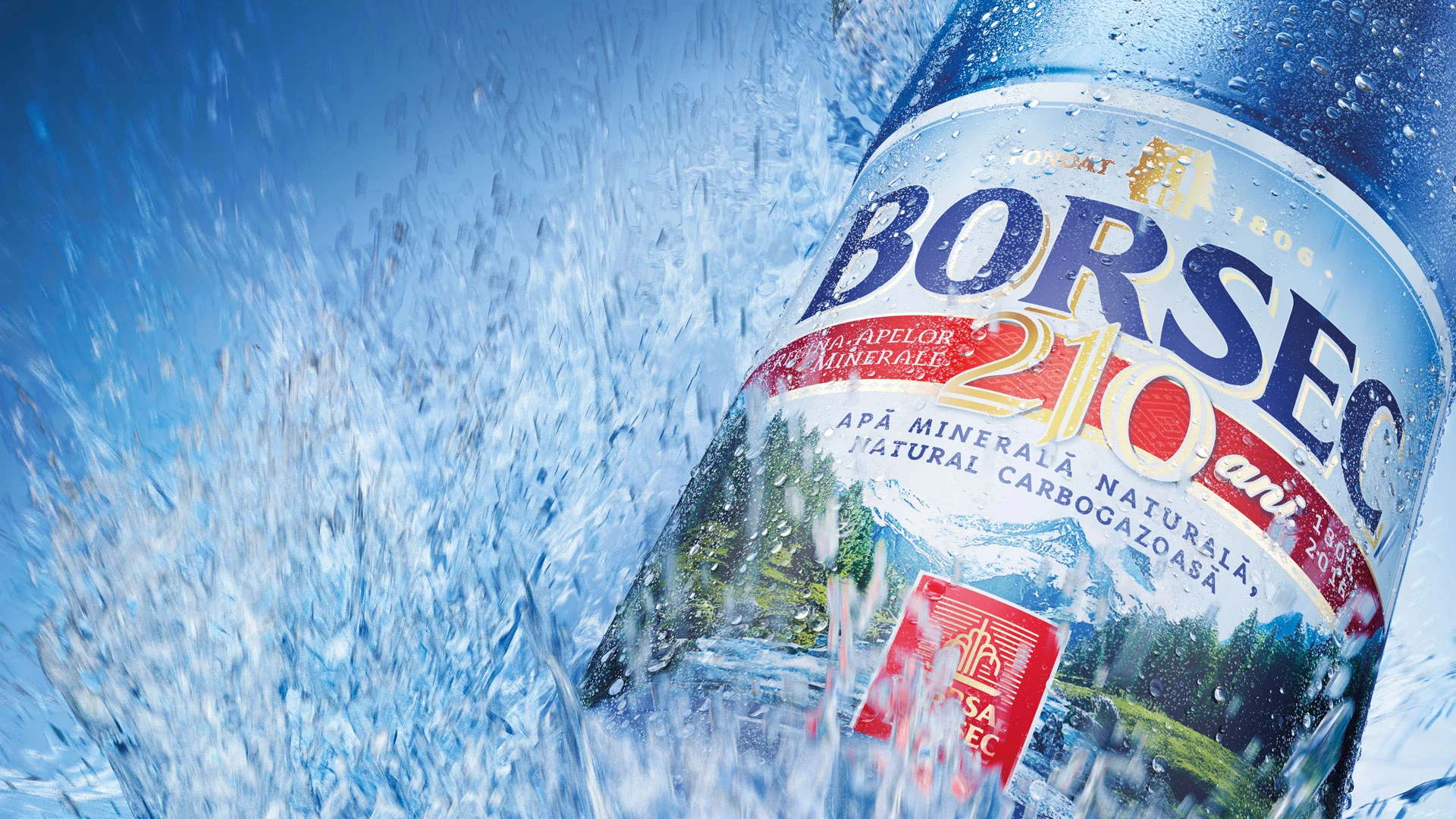 r221-borsec-01-17476770632504.jpg