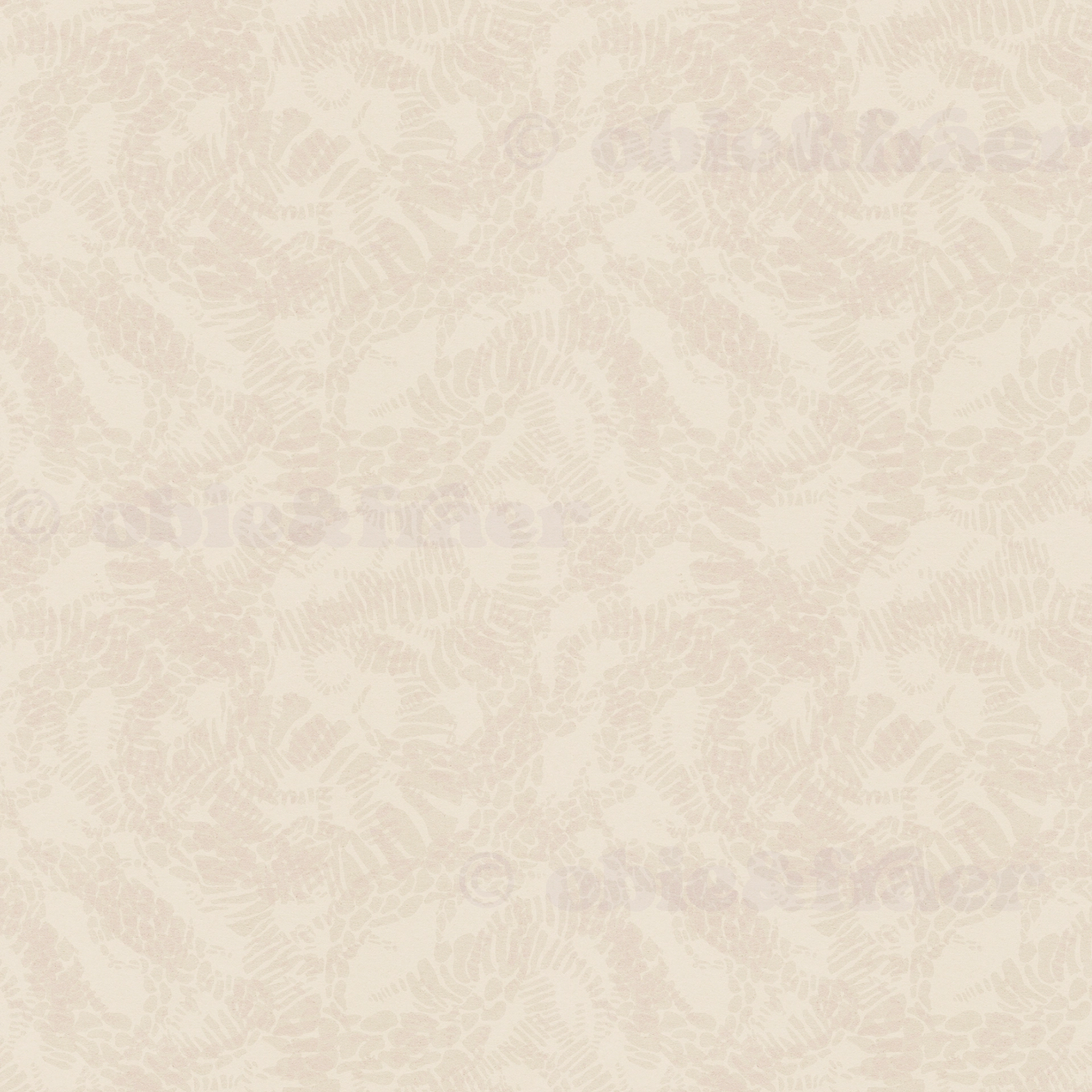 265-art-with-copyright-for-websitesalamander-bone-17562426742943.jpg
