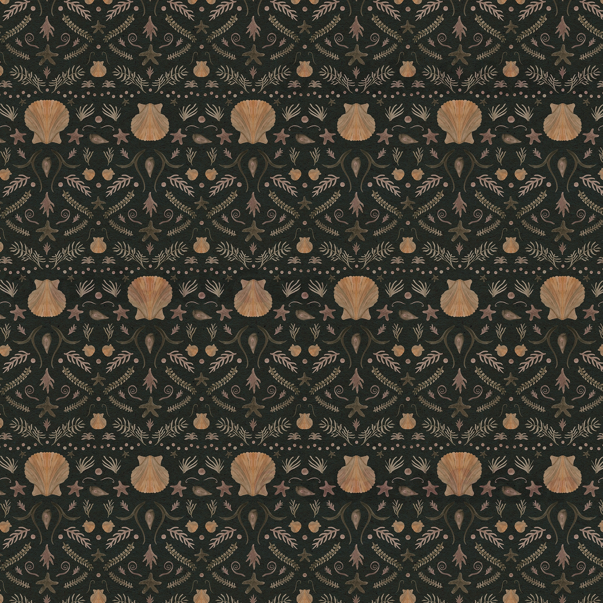 270-art-with-copyright-for-websiteblack-shells-17562427646358.jpg