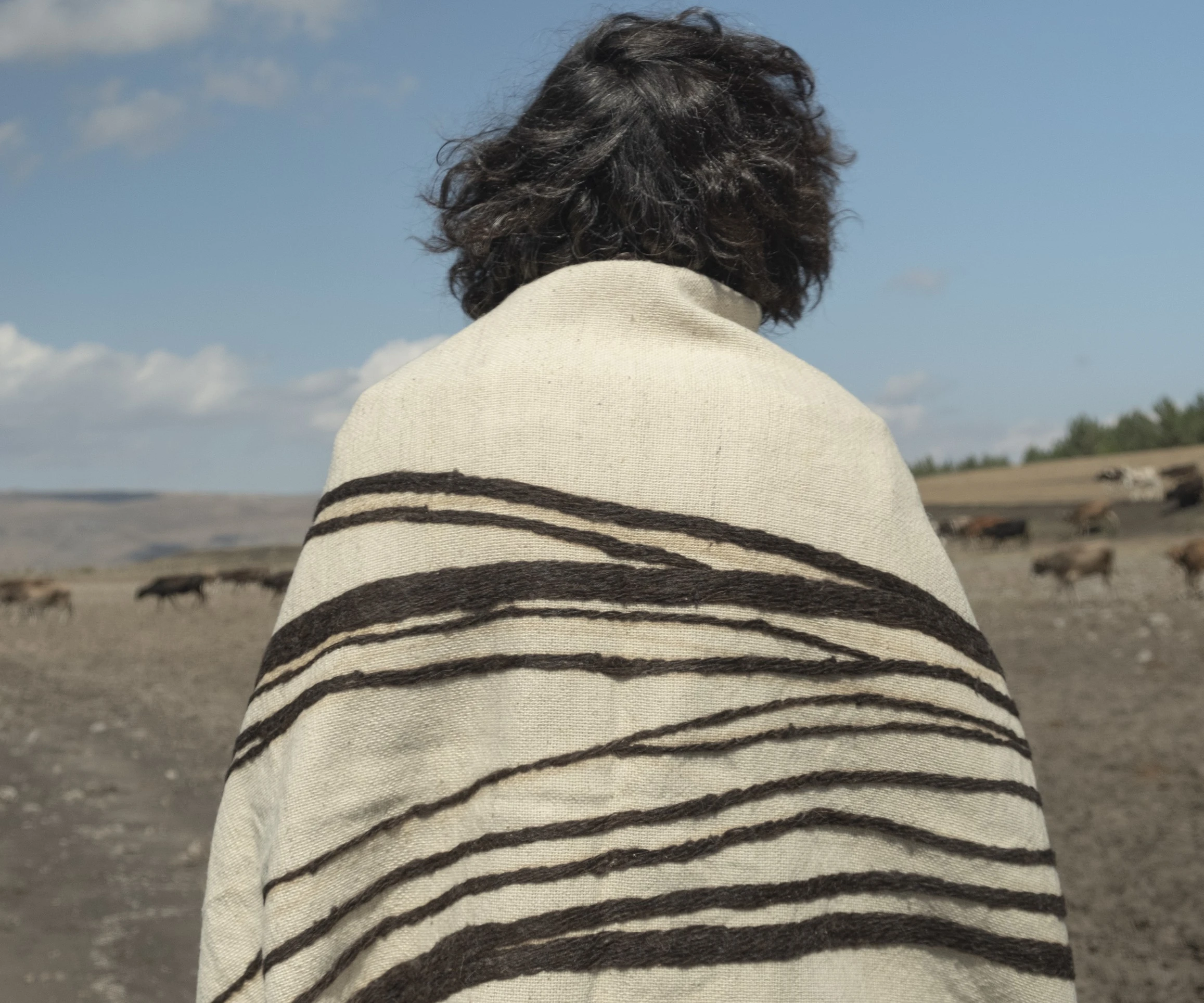 2890231419281986-dsf0003-17878441156764.jpg