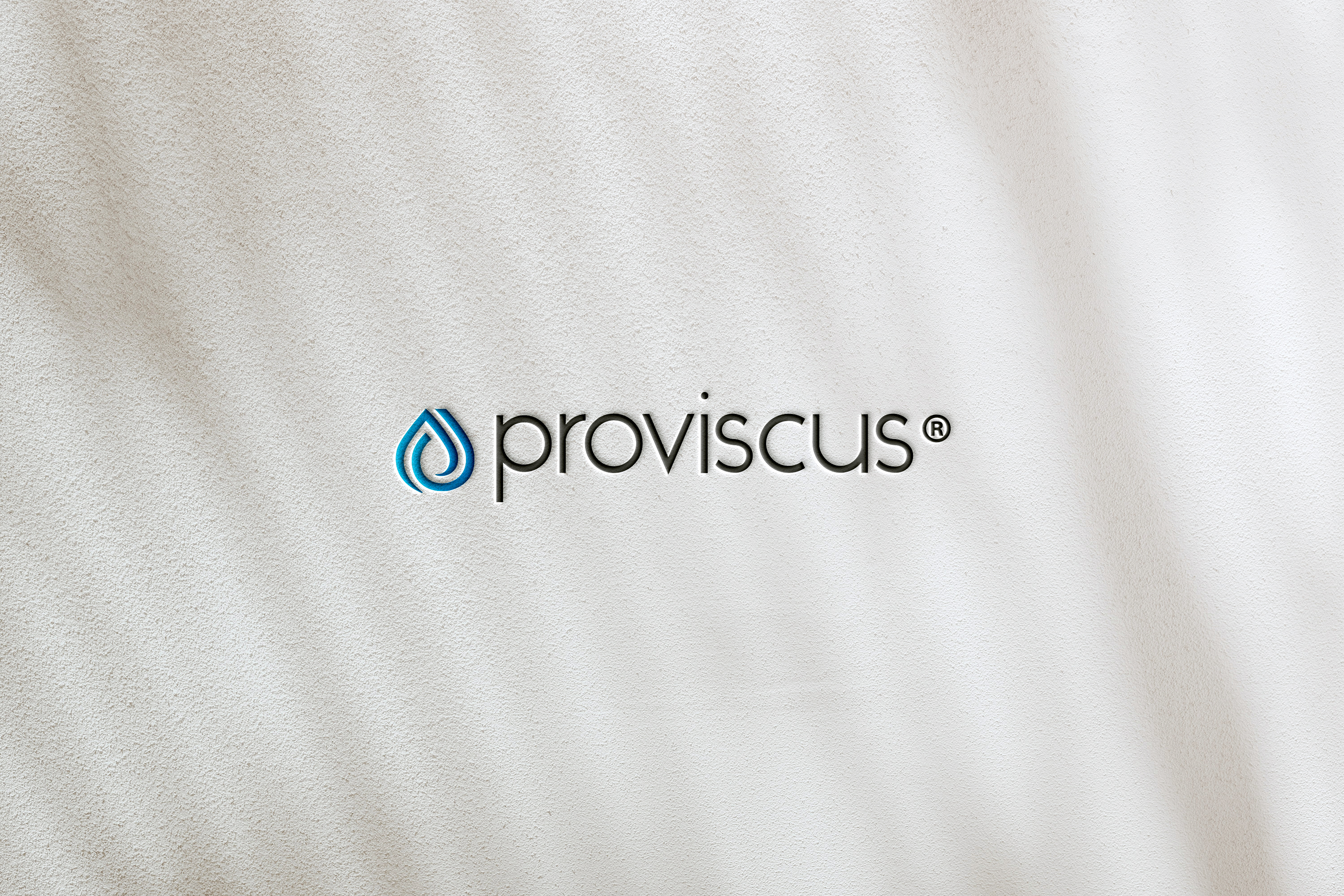 215-proviscus-logo-mockup.jpg