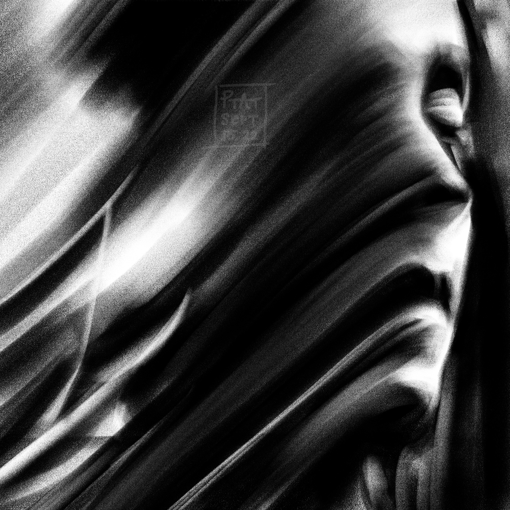 296-untitledartwork-8-1717801038494.jpg