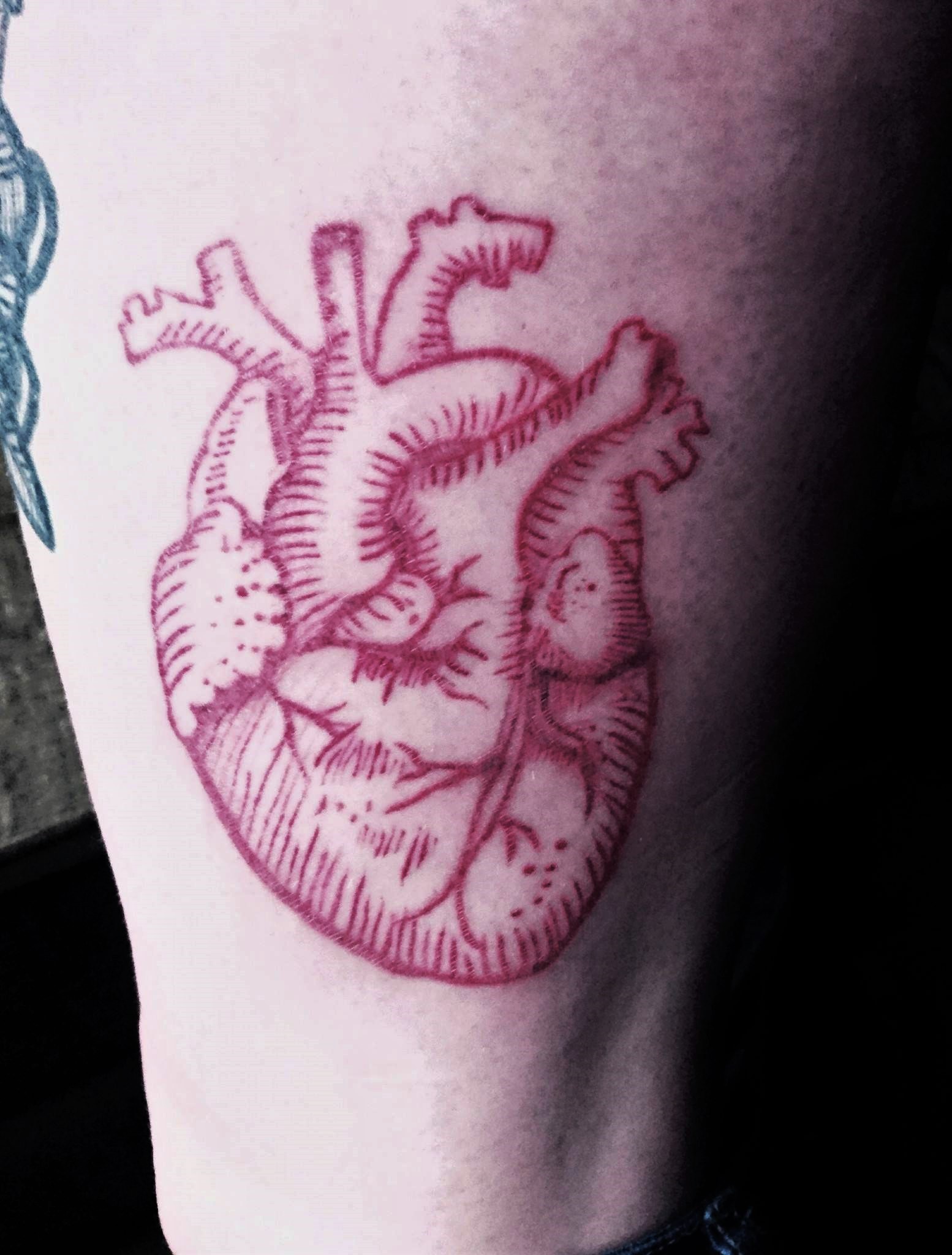 25-red-ink-anatomical-heart.jpg