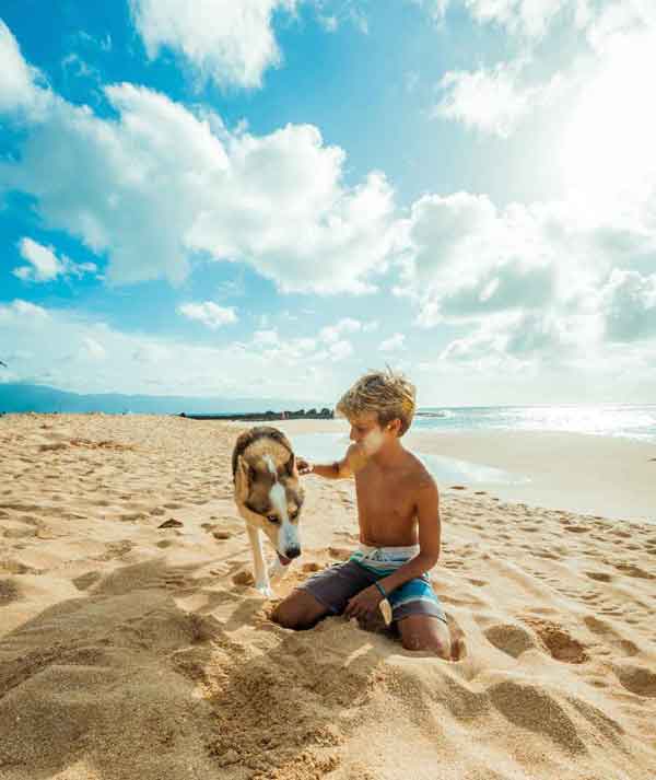 A boy playing with a dog on the beach