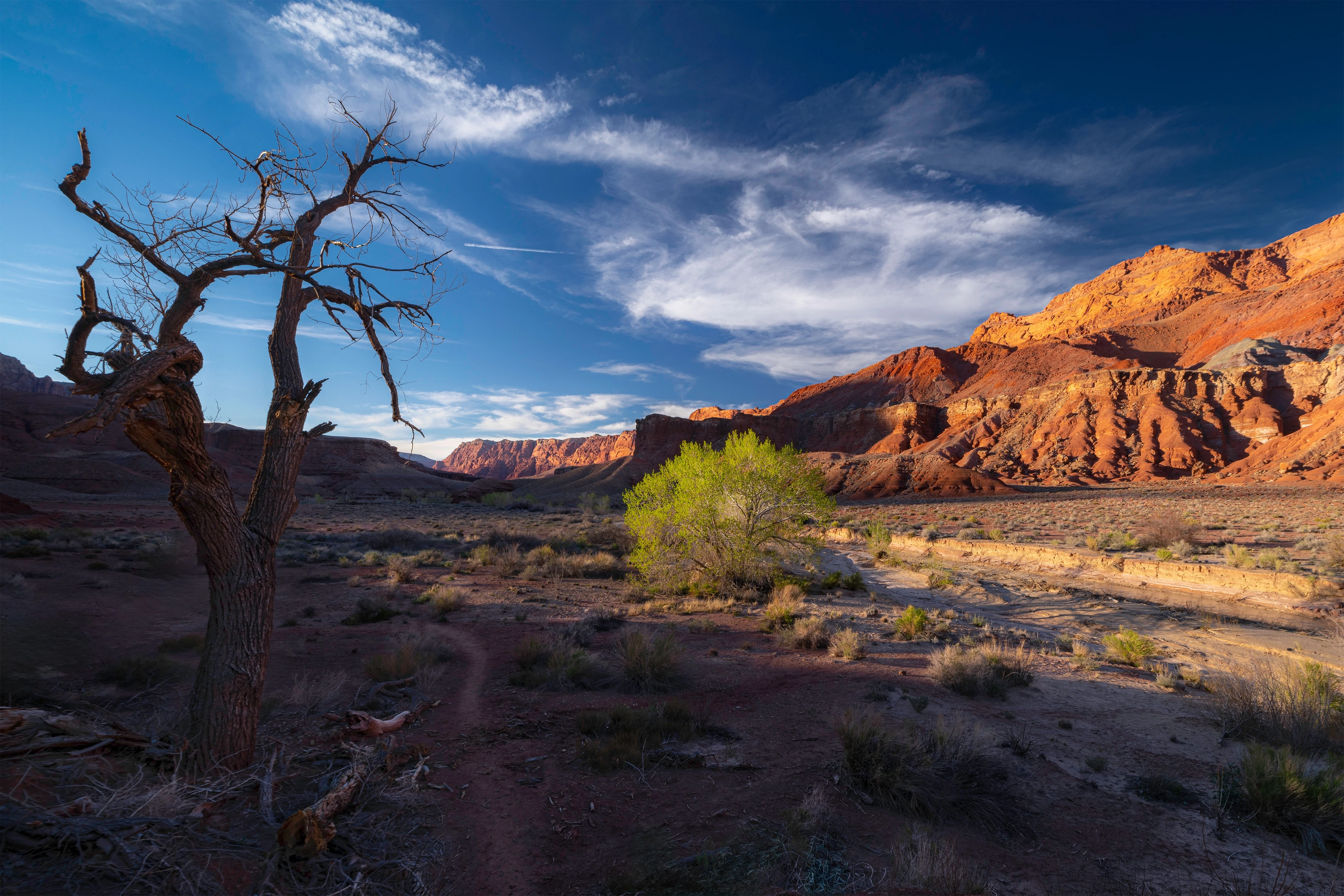 1673-capstoneglencanyon-17459660749797.jpg