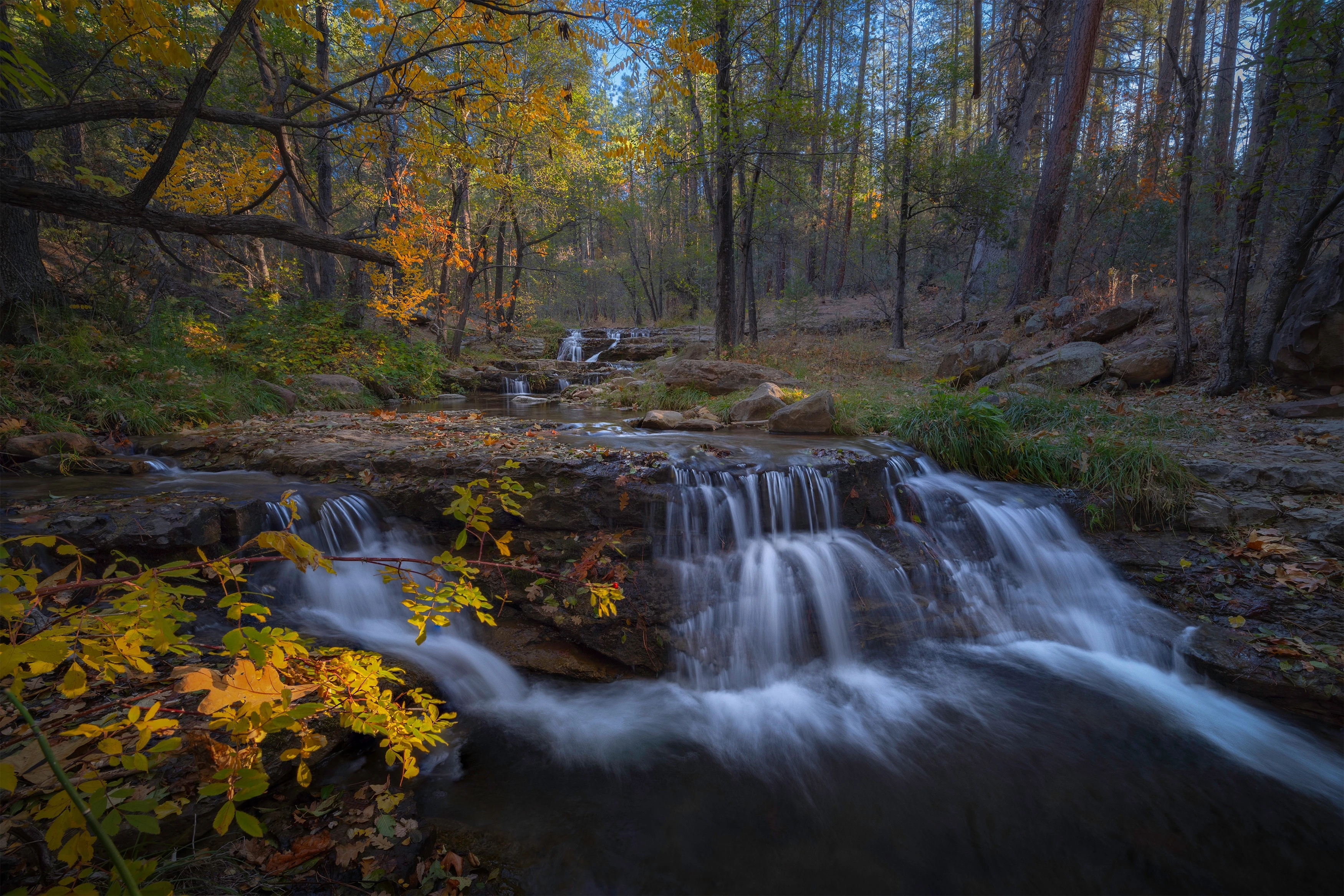 1673-capstonehortoncreek-17459660751341.jpg